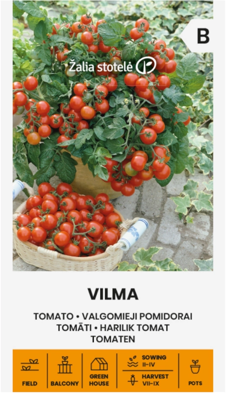 Pomidor Vilma odmiana drobnoowocowa koktajlowa o smacznych czerwonych owocach nasiona 0,2 g Žalia stotelė sklep rajogrodnika
